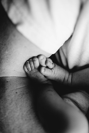 Boston Newborn Photographer