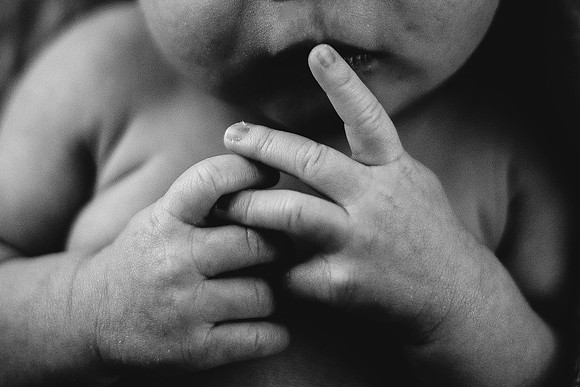 Boston Newborn Photographer